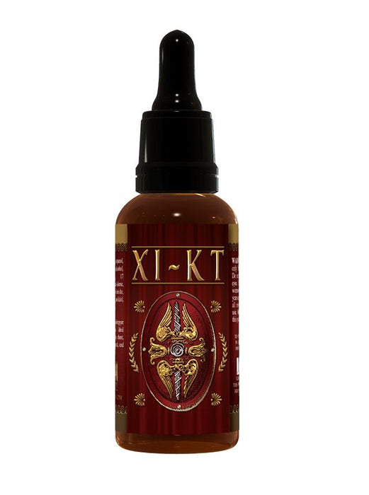 IJzeren Legioen XI-KT